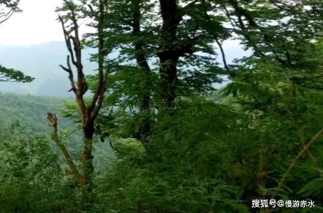 退休十年后，酒泉市肃州区原国家税务局党组书记、局长李勇被开除党籍