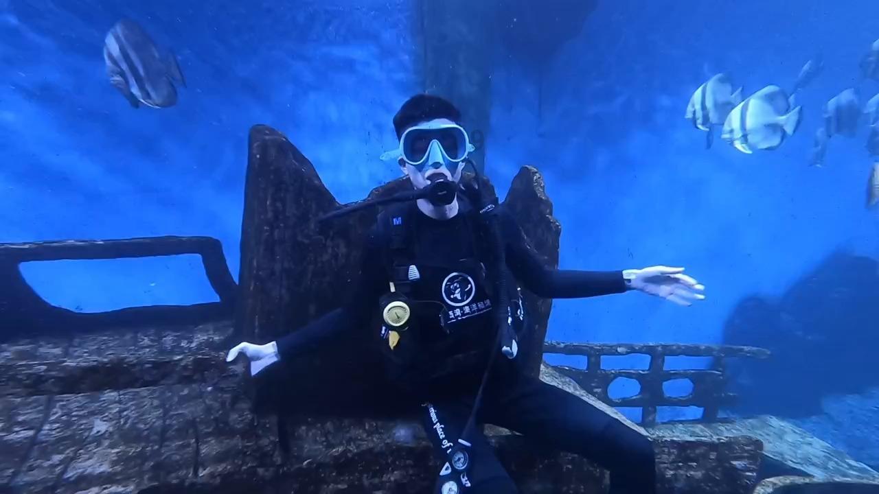 意想不到的旅程
