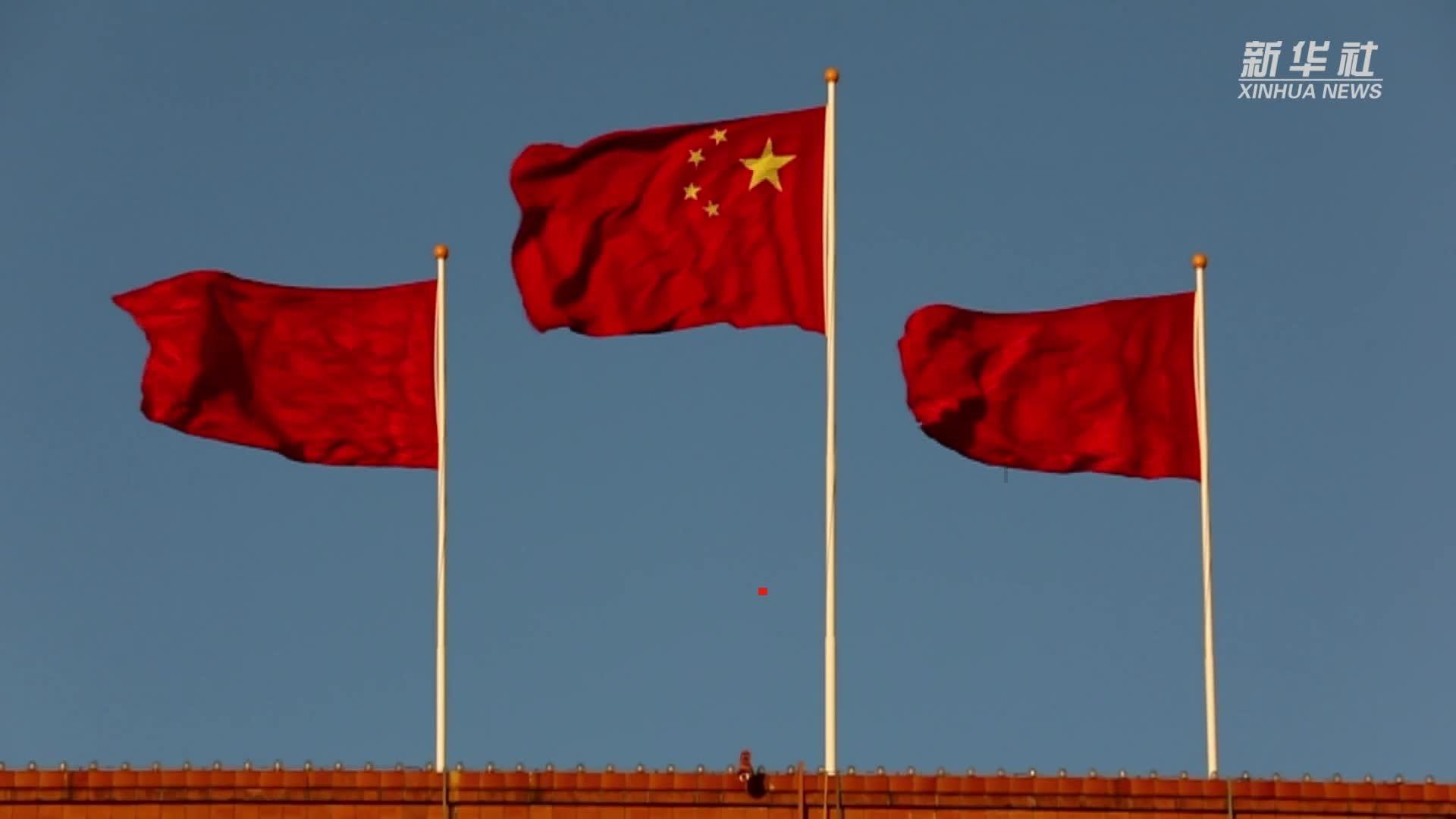 卑鄙的小妖精